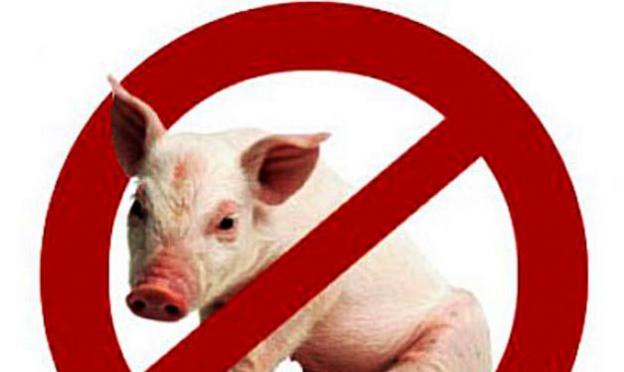Co je pro pravé křesťany podle Bible zakázáno (10 fotografií) Zákaz vepřového masa v křesťanství