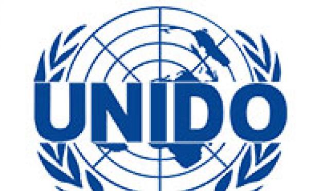 UNIDO standartlarına göre iş planlaması, mesleki gelişim, iş planlarının hazırlanması